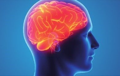 Brain Injury Explained – leaflet